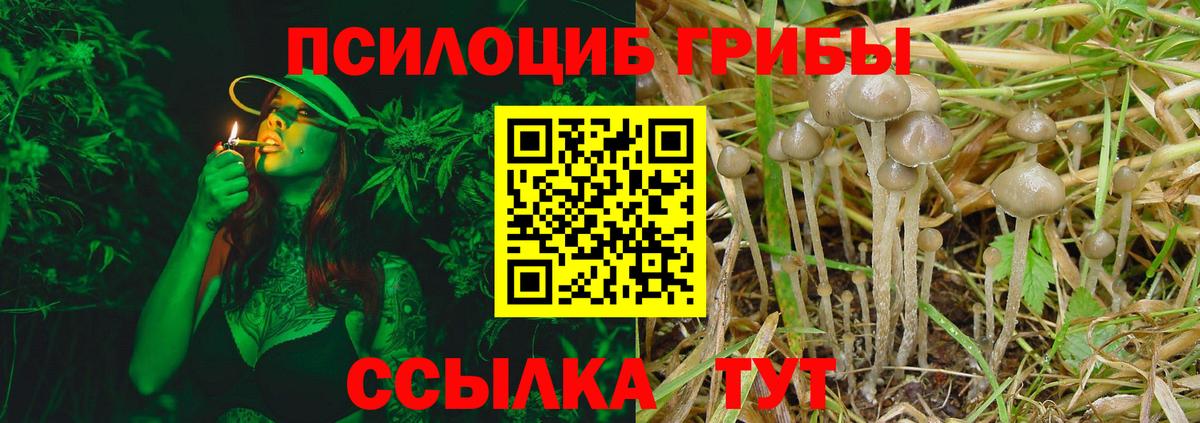 Псилоцибиновые грибы ЛСД  Галлюциногенные грибы MAGIC MUSHROOMS  Вход с VPN  Чернушка 